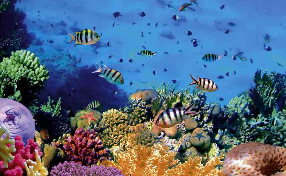 5 Rekomendasi Wisata Akhir Tahun di Indonesia ala Fenesia