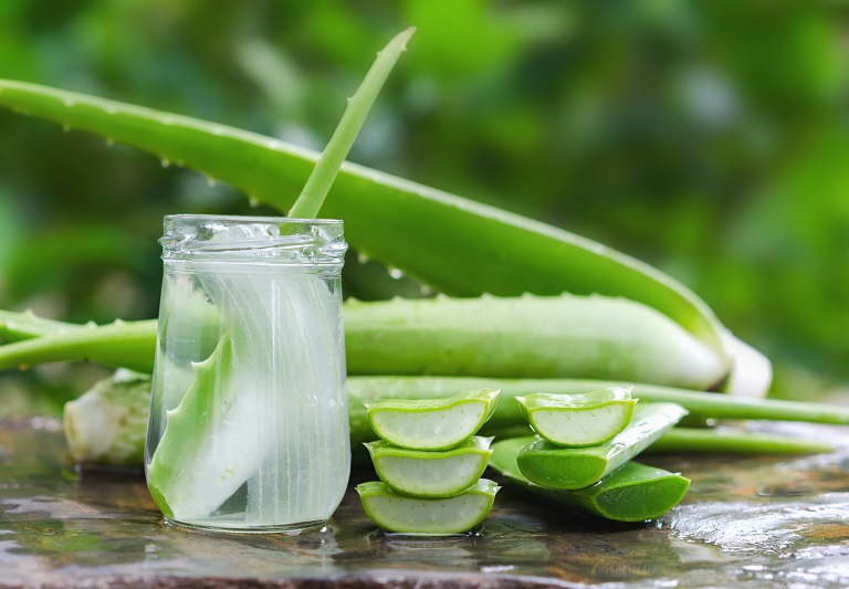 Manfaat Lidah Buaya, Solusi Alami untuk Kesehatan dan Kecantikan