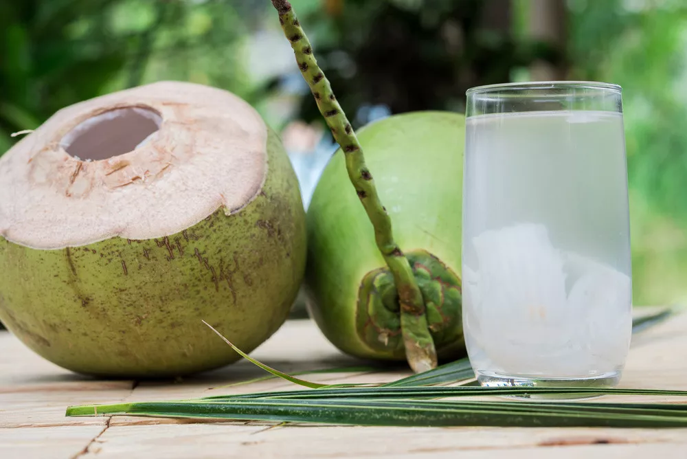 Wajib Tahu! 5 Manfaat Air Kelapa Rutin untuk Kesehatan Tubuh