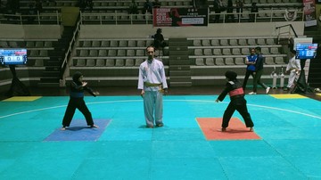 tangis-dan-tawa-hiasi-kejuaraan-silat-cnn-indonesia-piala-menpora-2025