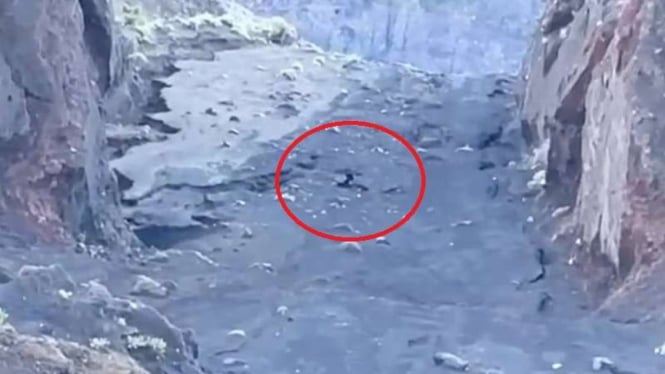Pemerintah Tak Persoalkan Keluarga Juliana yang Jatuh di Rinjani, Kalau Mau Autopsi Ulang