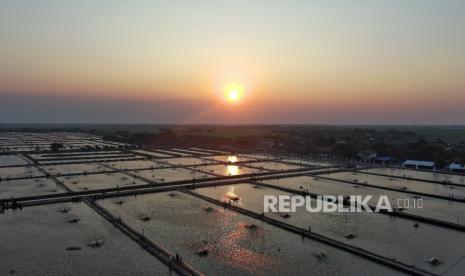 kkp-dan-pemda-kebut-revitalisasi-tambak-pantura-jabar