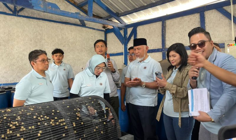 Sumbar Kembangkan Energi Panas Bumi, Kopi Kamojang Jadi Inspirasi