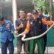 ular-masuk-galeri-di-jalur-wisata-pantai-air-manis,-damkar-padang-turun-tangan