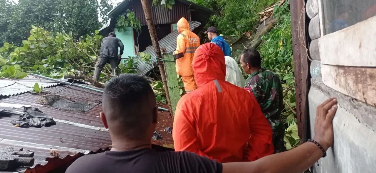 Hujan Deras di Padang, 2 Pohon Tumbang Timpa Rumah Warga di Lokasi Berbeda!