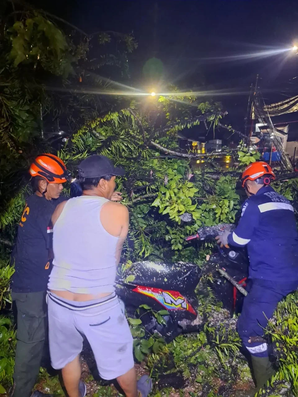 Cuaca Ekstrem di Padang, Pohon Tumbang Hambat Jalan hingga Hantam Warung