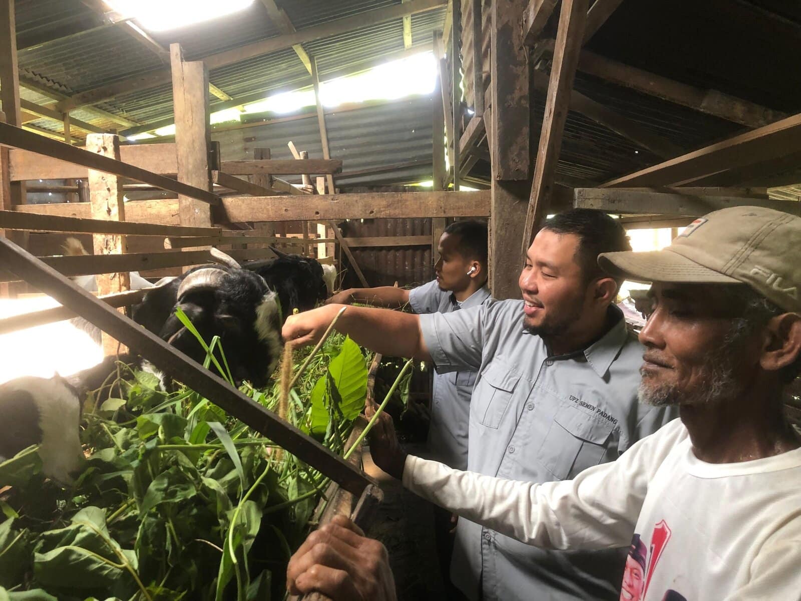 Kembangkan Kambing Etawa, UPZ BAZNAS Tingkatkan Ekonomi Warga Padayo