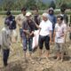dorong-pertanian-terpadu,-unand-luncurkan-sistem-palabek-di-pesisir-selatan