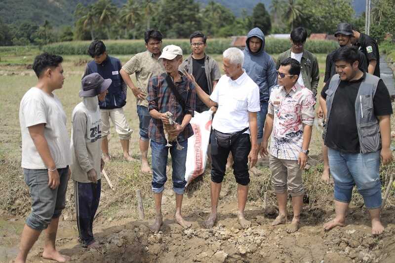 Painan Genjot Pertanian: PaLaBek Tingkatkan Ekonomi Petani