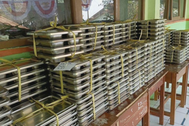 Menkes Ungkap: Keracunan MBG Akibat Bakteri, Virus, dan Zat Kimia