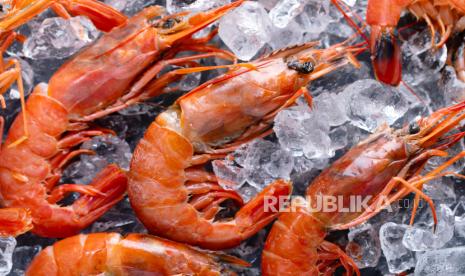 Cemaran Radioaktif Hantam Ekspor Udang, AS Kembalikan Ratusan Ton