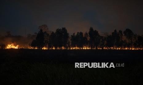 Karhutla Landa Sumsel, Ribuan Hektare Lahan Mineral Terbakar