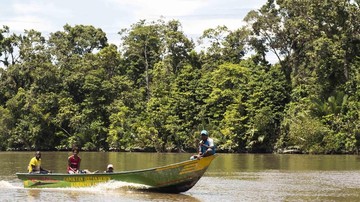 DPR Dalami Dugaan Pembabatan Mangrove Kendari untuk Rumah Pribadi