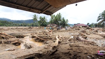 BNPB Buka Hotline, Bantu Cari Korban Banjir Sumatra