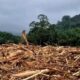 kepala-bnpb-sebut-2-desa-di-tapsel-rusak-parah:-kayu-besar-masuk-rumah