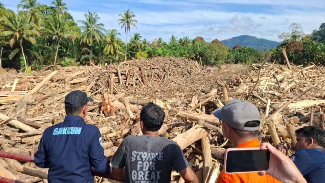 menteri-lh-sebut-kayu-gelondongan-di-banjir-sumut-tidak-alami,-janji-tindak-tegas-pembalakan-liar!