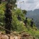 15-wn-china-penyerang-tni-pegang-kitas-disponsori-perusahaan