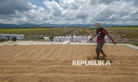 KDM Gandeng BRIN, Jabar Pacu Riset Dongkrak Produktivitas Pangan