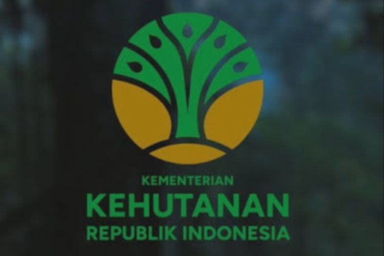 Kementerian Kehutanan Klarifikasi Kabar Penggeledahan Kejagung, Ungkap Fakta Sebenarnya