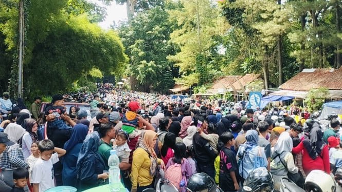 Bandung Zoo Diserbu Wisatawan, Antrean Mengular di Hari Libur