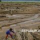 sawah-di-gayo-lues-rusak-parah,-pemerintah-siapkan-revitalisasi