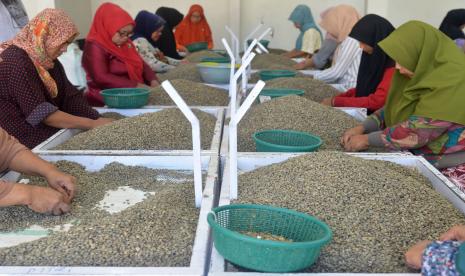 Banjir Longsor Aceh Tengah Lumpuhkan Ekonomi, Rusak Kebun Kopi