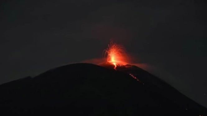 Ile Lewotolok Muntahkan Lava, Status Siaga Ditetapkan Akibat Erupsi Meningkat