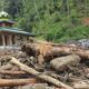 tak-cukup-cabut-izin,-aparat-didesak-proses-hukum-28-perusahaan