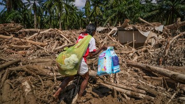 Satgas PKH Siapkan Diri Hadapi Gugatan Perusahaan Perusak Hutan Sumatra