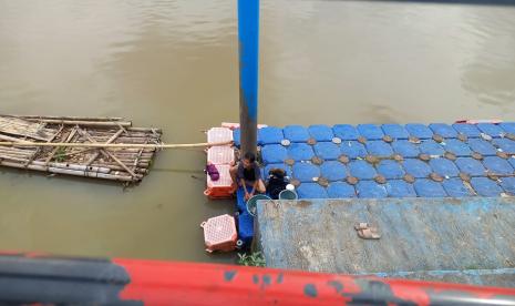 Pestisida Cemari Cisadane, Ikan Mati Massal, Warga Dilarang Gunakan Air!