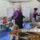 mbg-di-papua-tengah:-investasi-jangka-panjang-untuk-generasi-emas-2045