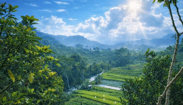 Solo Memanggil: Lebaran, Alam Sembuhkan, Jiwa Bersemi Kembali