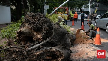Hujan Angin Robohkan Pohon, Tewaskan Pengendara Motor di Lenteng Agung