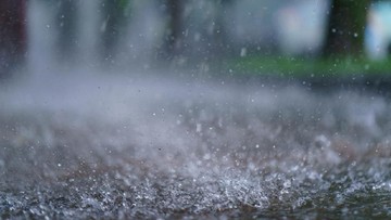Hujan Angin Bandung: Pohon Tumbang, Reklame Roboh, Renggut Nyawa