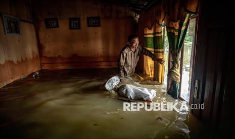 Tanggul Jebol Terjang Demak, Banjir Rendam Sawah, Warga Mengungsi