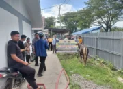 Pemko Padang Salurkan Tiga Ekor Sapi Kurban untuk Warga Huntara