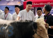 XLSMART Salurkan Kurban ke 27 Kota demi Perkuat Kepedulian Sosial
