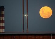 Fenomena Strawberry Moon Bakal Hiasi Langit Indonesia Akhir Juni Mendatang