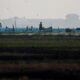 seberapa-besar-dampak-el-nino-untuk-indonesia?
