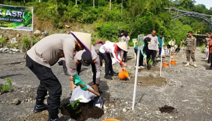 Pemko dan Polres Padang Panjang Tanam 500 Bibit Pohon di Silaing Bawah