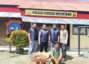 Polres Pasaman Barat Tangkap Buronan Pencuri Sawit dalam Operasi Sikat Singgalang