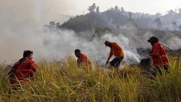 seribuan-hektare-padang-savana-di-tn-tambora-sumbawa-terbakar