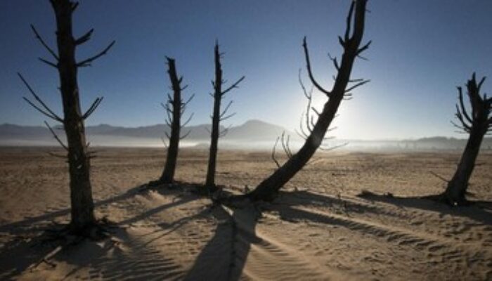Ancaman El Nino Godzilla Berpotensi Rugikan Ekonomi Afrika Hingga Rp358 Triliun