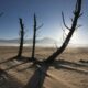 el-nino-super-diperkirakan-picu-kerugian-ratusan-triliun-di-afrika