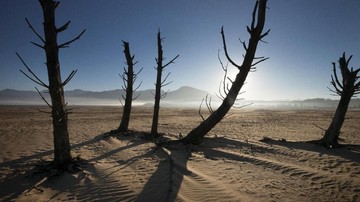 el-nino-super-diperkirakan-picu-kerugian-ratusan-triliun-di-afrika