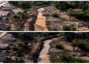 KLH Usul Ratusan Ribu Hektare Lahan Sumatra Bebas Pembangunan