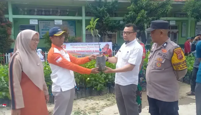 Rahmat Saleh Salurkan 5.000 Bibit Tanaman Produktif untuk Warga Pakan Sinayan Agam