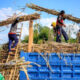 Pekerja sedang melakukan pengecekan kualitas tanaman tebu di area perkebunan rakyat