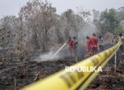 Petugas gabungan berupaya memadamkan kebakaran hutan dan lahan di wilayah prioritas Indonesia.