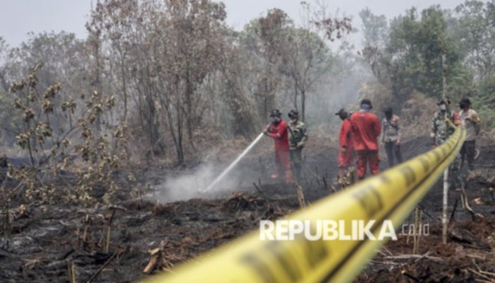 BNPB: Luas Karhutla di Enam Provinsi Capai 73.425 Hektare